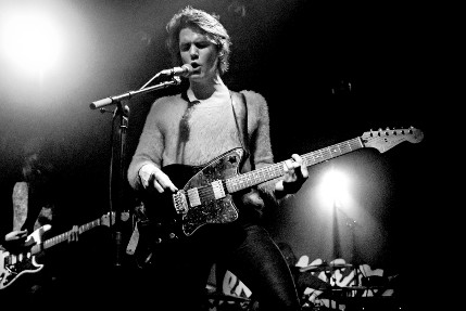 the wombats